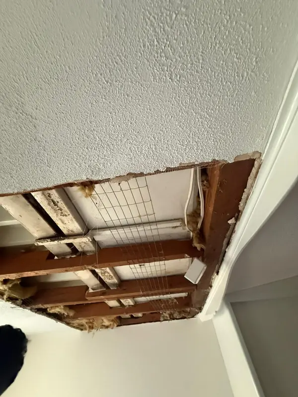 Professional painting job
